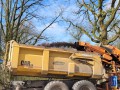 2026-04-01-Udenhout-003