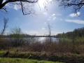 2026-04-01-Udenhout-004