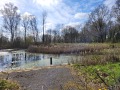 2026-04-01-Udenhout-009