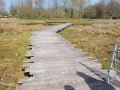 2026-04-01-Udenhout-011