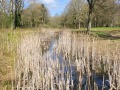 2026-04-01-Udenhout-015