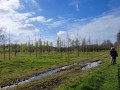 2026-04-01-Udenhout-018