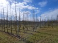 2026-04-01-Udenhout-019