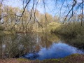 2026-04-01-Udenhout-020