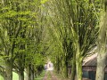 2026-04-01-Udenhout-022