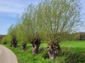 2026-04-15-Enspijk-019
