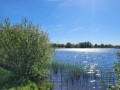 2026-04-29-Rosmalen-Groote-Wielen-007