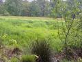 2026-05-13-Goirle-006