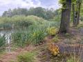 2026-05-13-Goirle-009