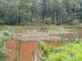 2026-05-13-Goirle-010