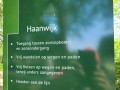 2026-05-27-Halder-004