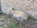 2026-05-27-Halder-028