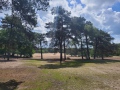 2026-06-10-Berghem-002