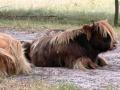 2026-07-08-Huis-ter-Heide-011B