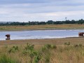 2026-07-08-Huis-ter-Heide-013