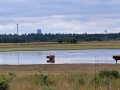 2026-07-08-Huis-ter-Heide-014