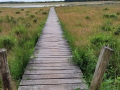 2026-07-08-Huis-ter-Heide-018