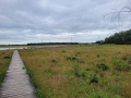 2026-07-08-Huis-ter-Heide-019