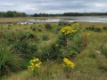 2026-07-08-Huis-ter-Heide-024