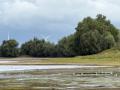 2026-07-22-Hurwenen-012A