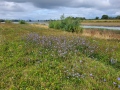 2026-07-22-Hurwenen-013