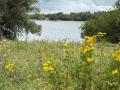 2026-07-22-Hurwenen-013A