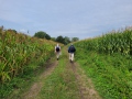 2026-09-02-Nederwetten-004