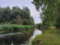 2026-09-02-Nederwetten-027