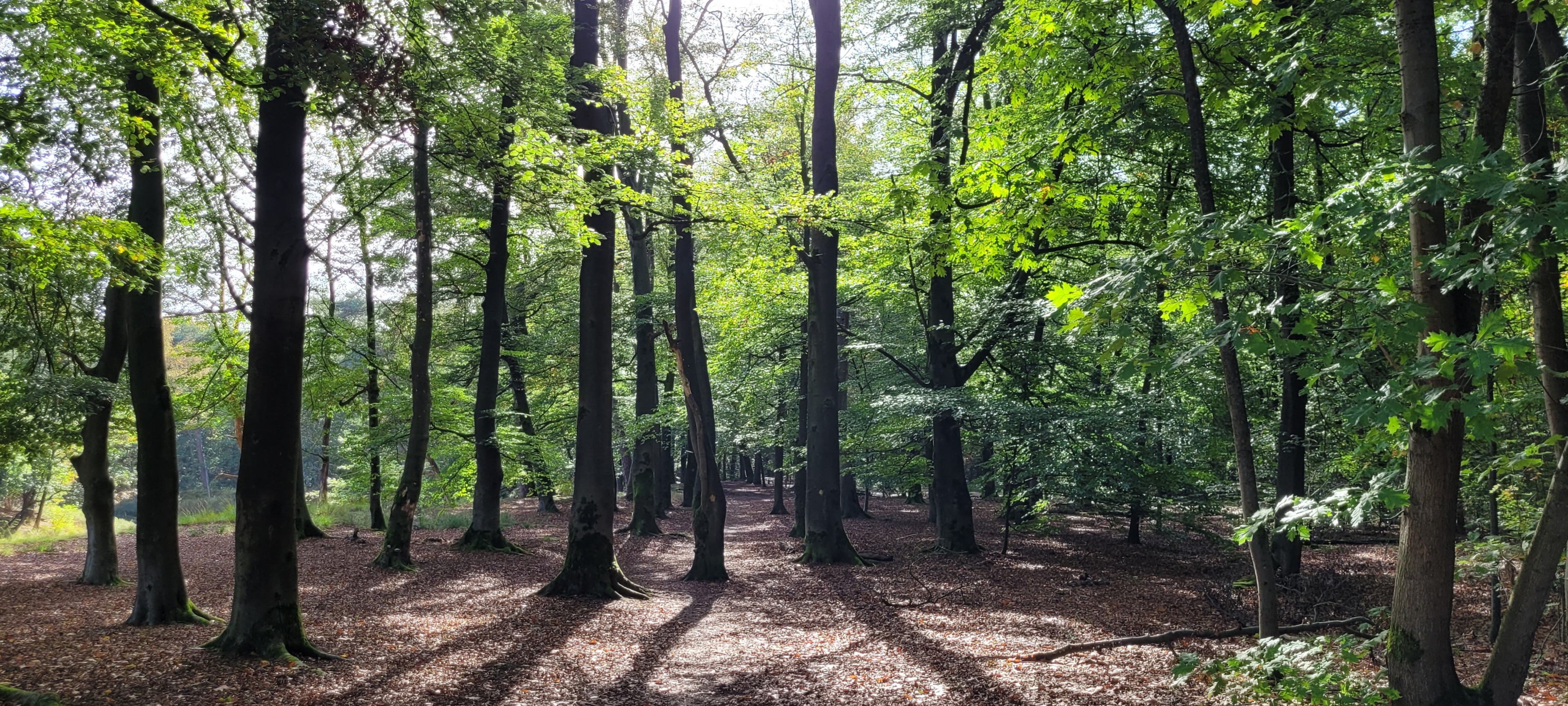 2026-10-14-Vught-21