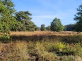 2026-10-14-Vught-09