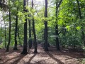 2026-10-14-Vught-21