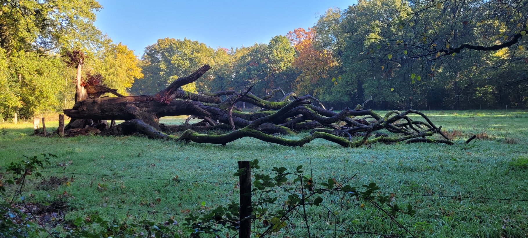 2026-10-28-Boxtel-003