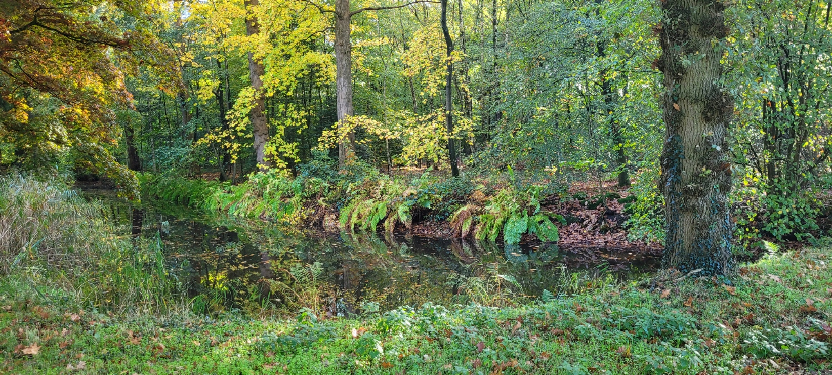 2026-10-28-Boxtel-005