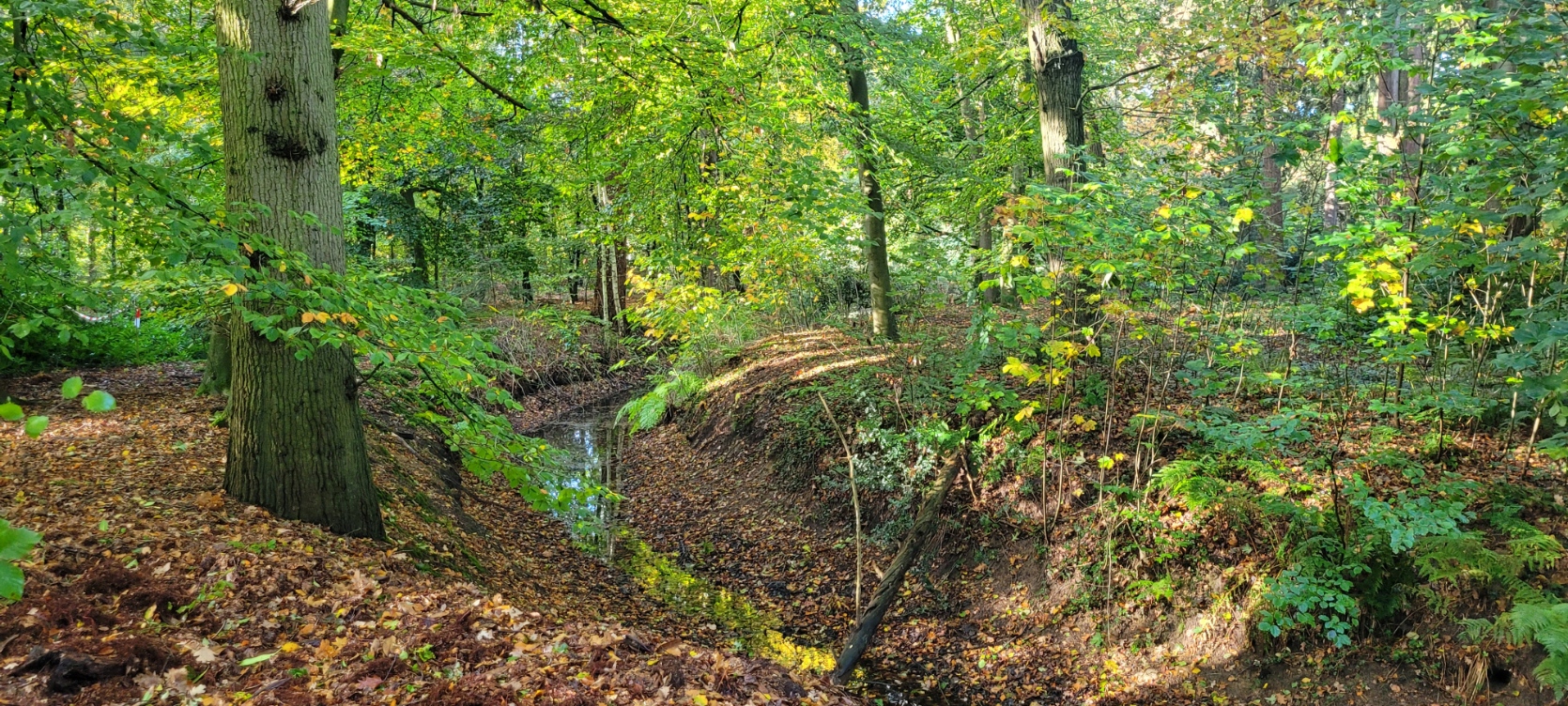 2026-10-28-Boxtel-007