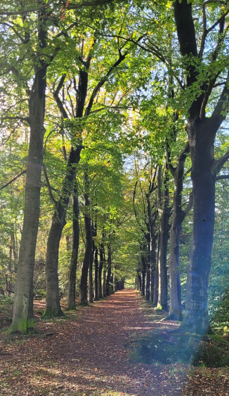 2026-10-28-Boxtel-019