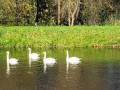2026-10-28-Boxtel-016