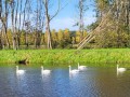 2026-10-28-Boxtel-017