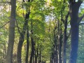 2026-10-28-Boxtel-019