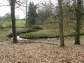 2017-03-29 Moergestel 004