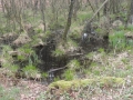 2017-03-29 Moergestel 007